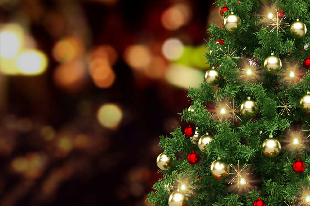 How Long Do Live Christmas Trees Last