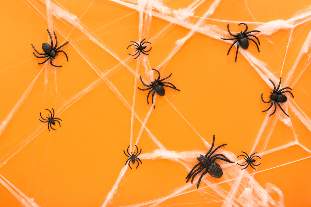 How To Make a Halloween Spider
