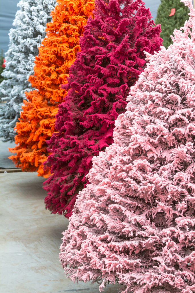 Display of multi-colored flocked Christmas trees for sale 