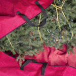 Large artificial Christmas tree being placed in red nylon zipper bag for next season