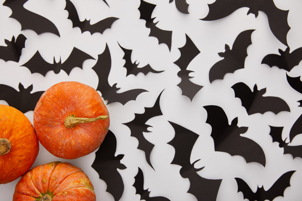 Three orange pumpkins surrounded by black paper bats on a white background