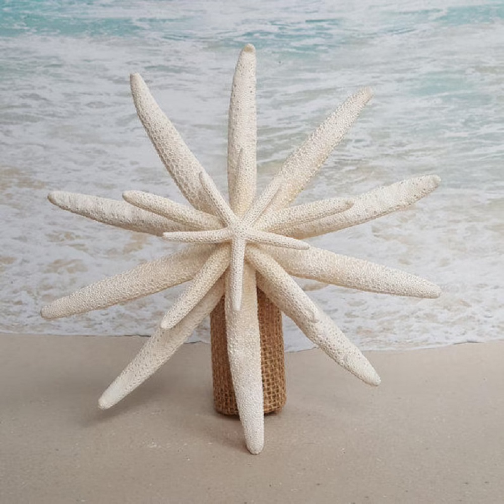 Minimal Starfish Tree Topper 