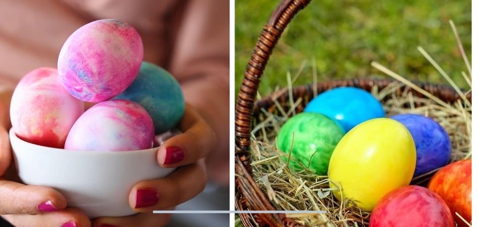 Easter Showdown Real Eggs vs. Plastic Eggs