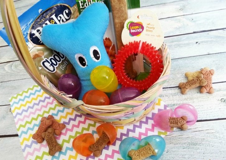 How to Assemble DIY Easter Baskets for Pets