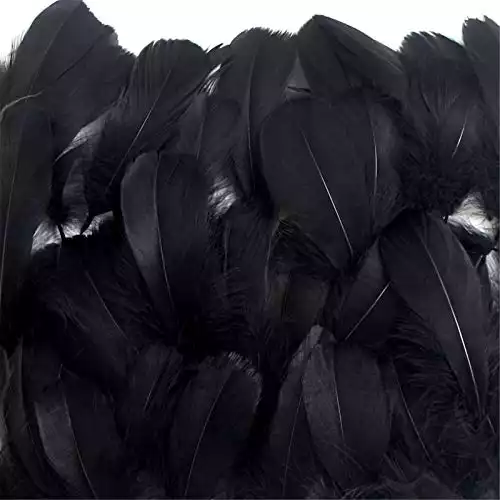 Coceca 300pcs Black Feathers for Various Birthday Party Wedding Festival Party Decorations